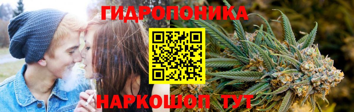 Бошки Шишки OG Kush Заречный